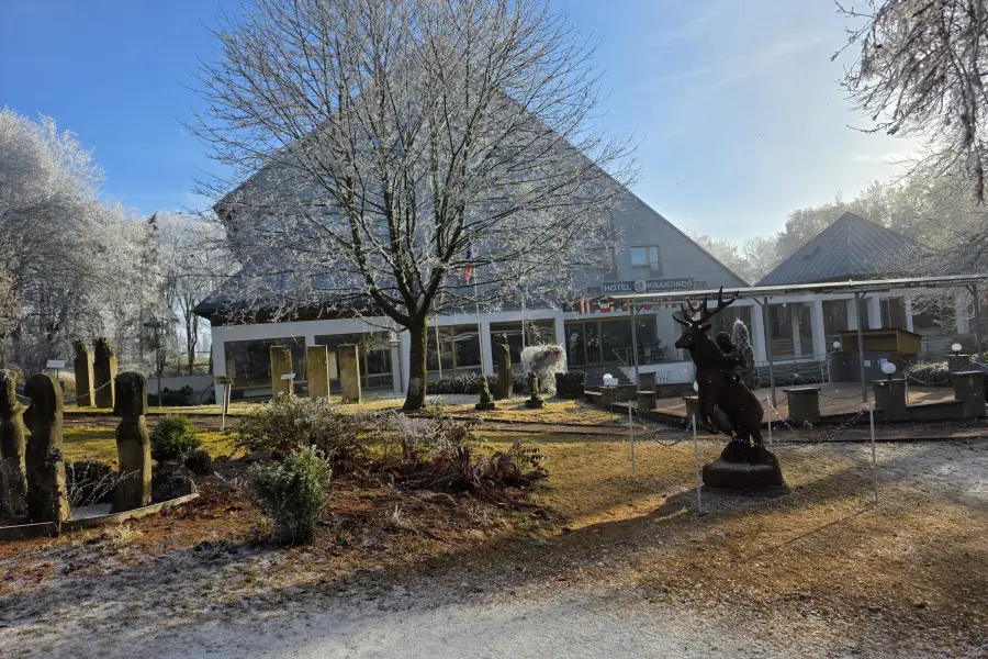 Léčebný balíček na posílení imunity